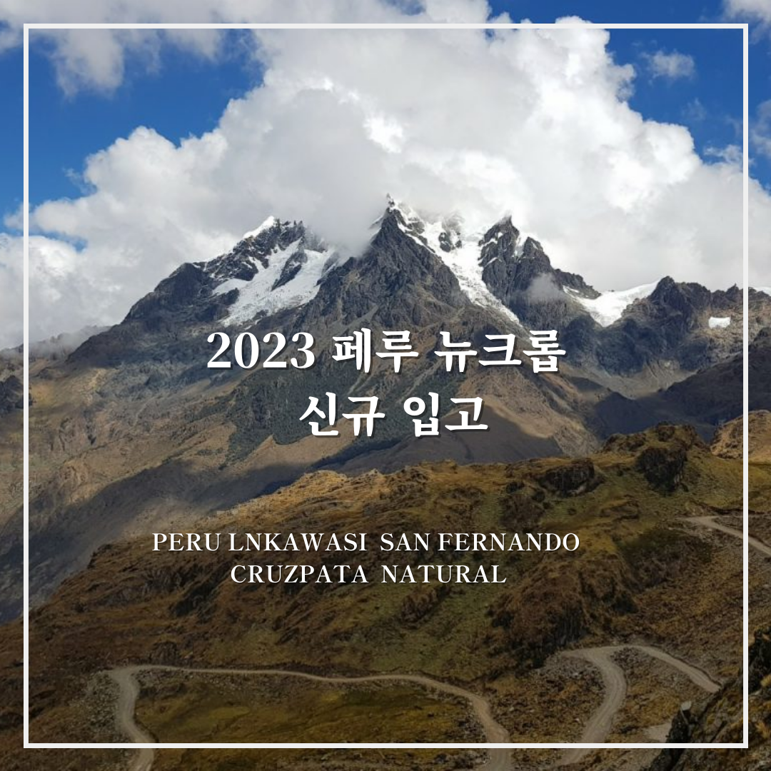 2023 페루
